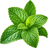 Sabor menta